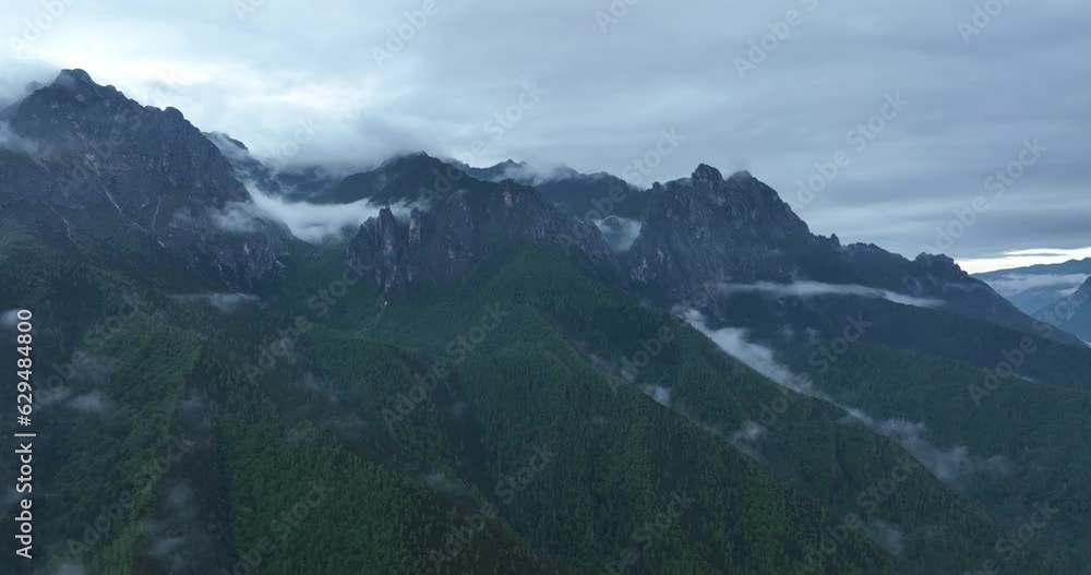 Beautiful forest landscape in Sichuan, China Beautiful forest landscape in Sichuan, China
