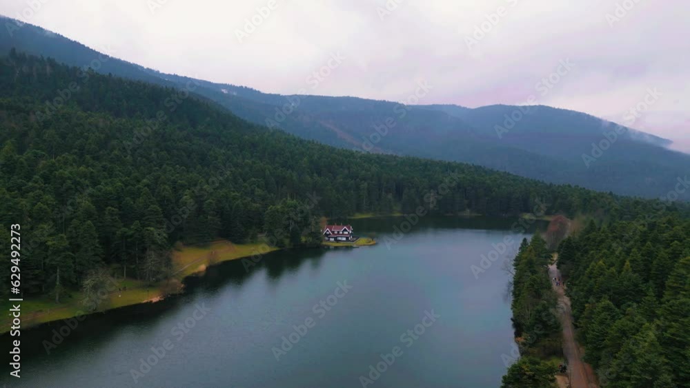 Forests with beautiful nature and scenery. Perfect for trekking in Bolu Forests with beautiful nature and scenery. Perfect for trekking in Bolu