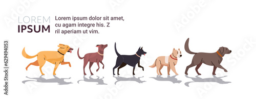 Happy national dog day greeting card various cute doggy posing holiday of domestic animals concept horizontal copy space