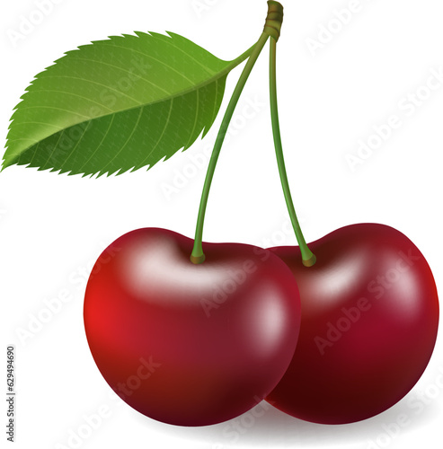 Realistic cherry isolated