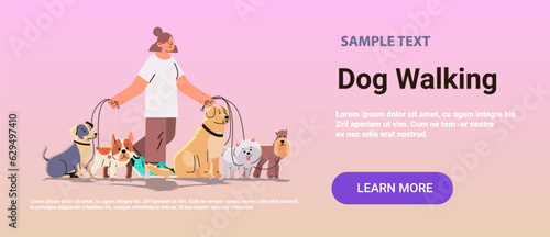 woman dog handler walks with pets best friends domestic animals walking service volunteering pet care concept horizontal