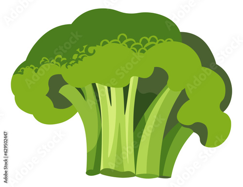 Delicious and healthy food, raw or cooked broccoli