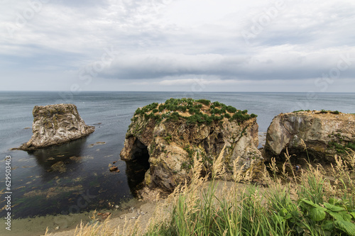 The coast of the Sea of Okhotsk in cloudy weather with rocks and vegetation