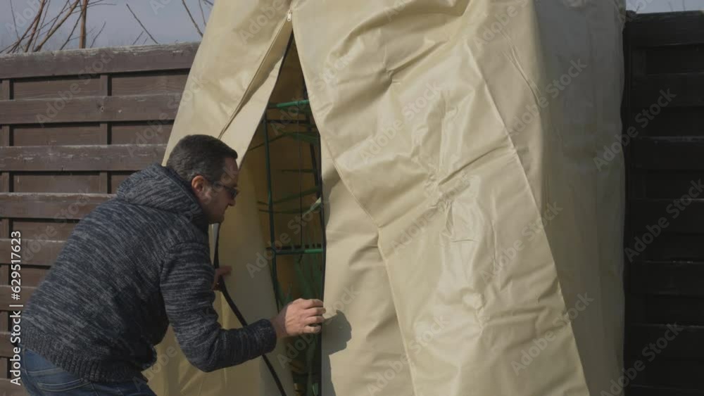 Man removes winter protection from tropical plants in spring Man removes winter protection from tropical plants in spring