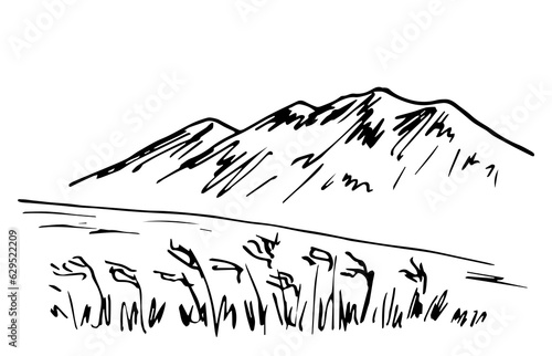 Simple black outline vector drawing. Mountain landscape, wilderness, feather grass, prairie. Sketch in ink.