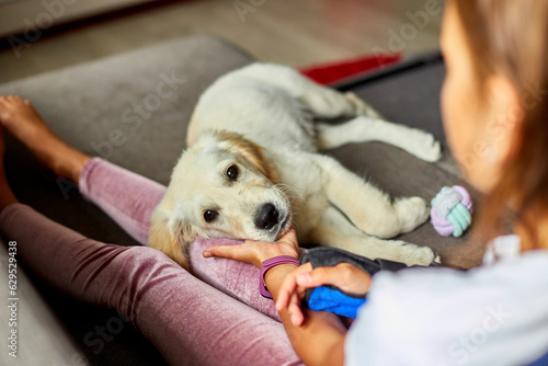 Happy teenage girl lying on sofa and embracing her puppy golden retriever pet, Love domestic animals, Friends at home photo