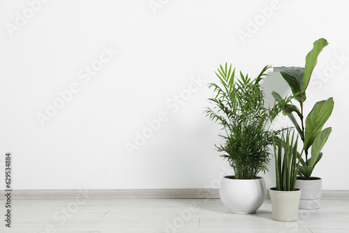 Many different houseplants in pots on floor near white wall indoors, space for text © New Africa