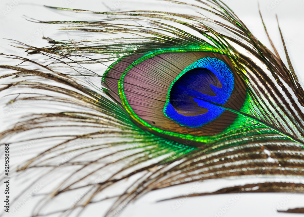 Fototapeta premium abstract peacock feather pattern created with generative ai technology