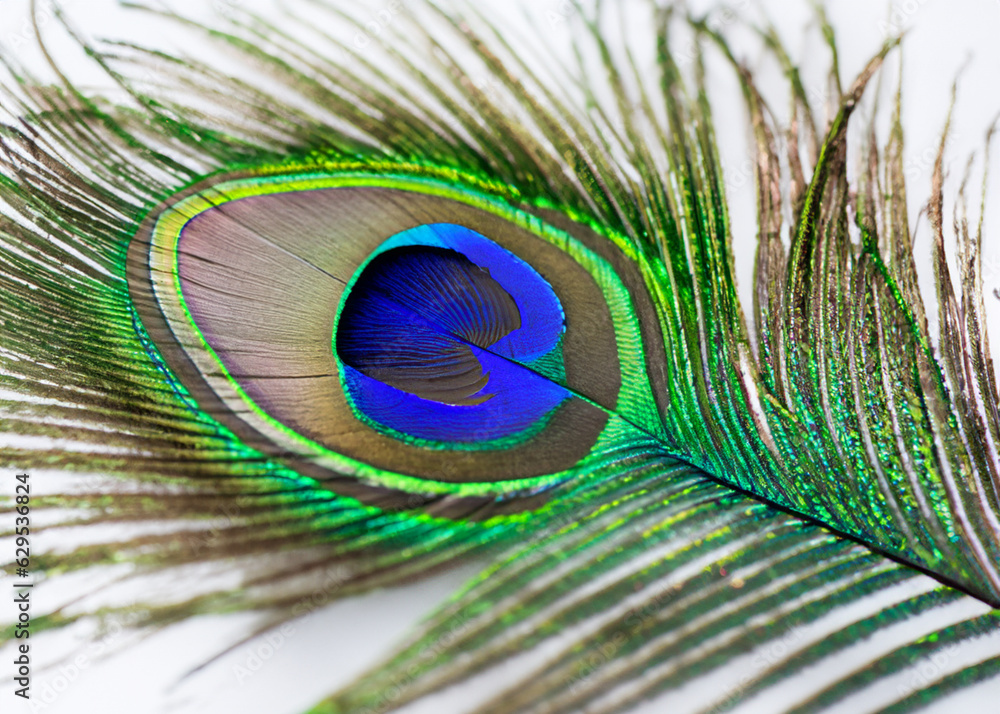 Obraz premium abstract peacock feather pattern created with generative ai technology