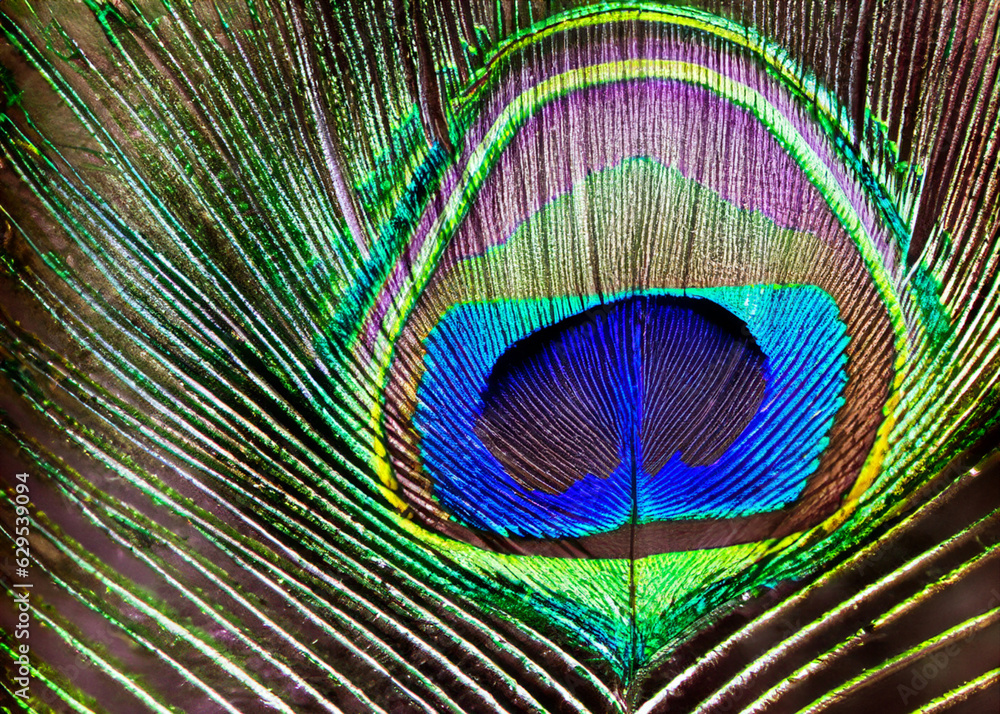 Obraz premium abstract peacock feather pattern created with generative ai technology