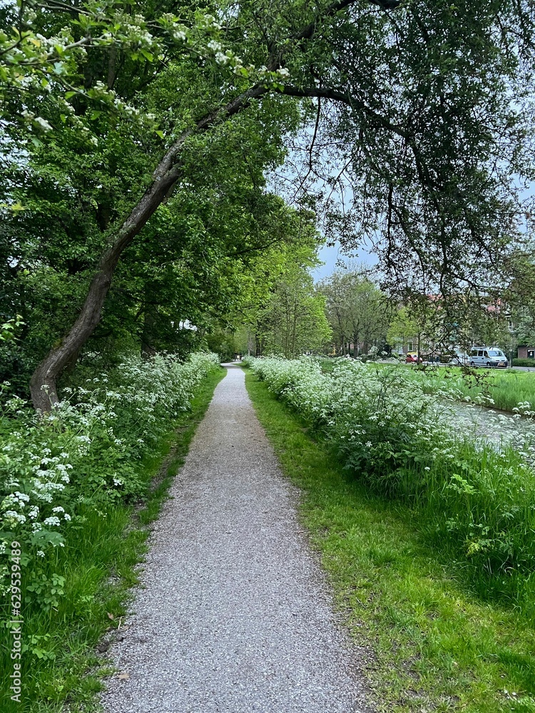 Pathway and plants near canal outdoors on spring day Pathway and plants near canal outdoors on spring day