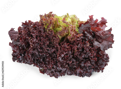 Head of fresh red coral lettuce isolated on white