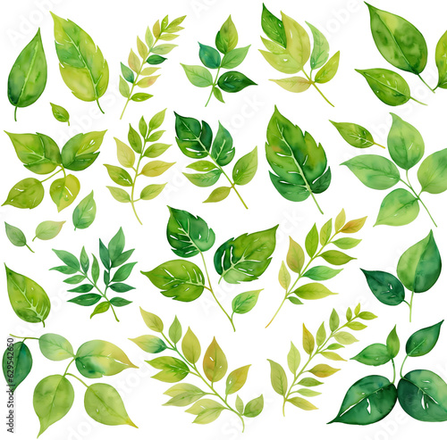 Set of Tropical Botanical Floral Leaf Watercolor Illustrations  Isolated on Transparent Background for Design Elements. AI Generetive.