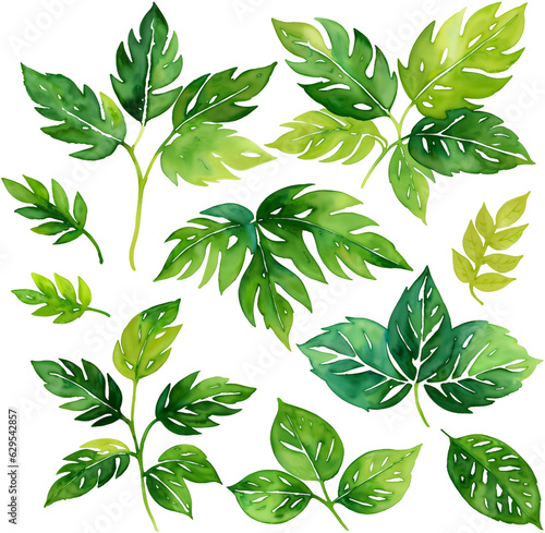 Set of Tropical Botanical Floral Leaf Watercolor Illustrations, Isolated on Transparent Background for Design Elements. AI Generetive.