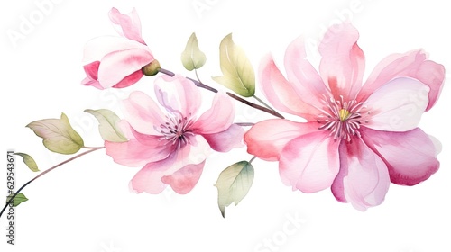Delicate pink flowers, sakura, watercolor style.  © Terablete