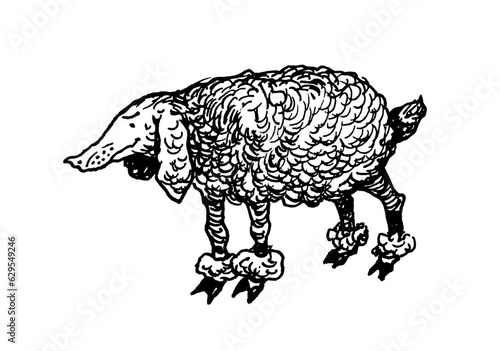 Poodle sheep vector print black and white animals funny cartoon fantasy flat vintage