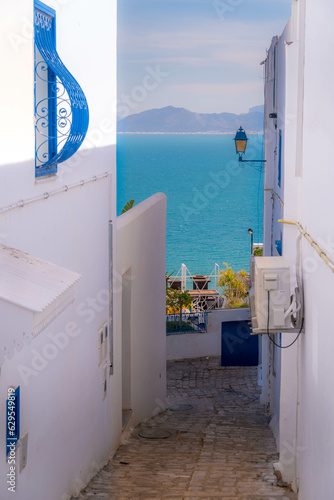 The Mediterranean sea and the Boukornine mountains are seen between the beautiful white-blue buildings in touristic historic area of Sidi Bou Said in Tunis, Tunisia. © Artaxerxes