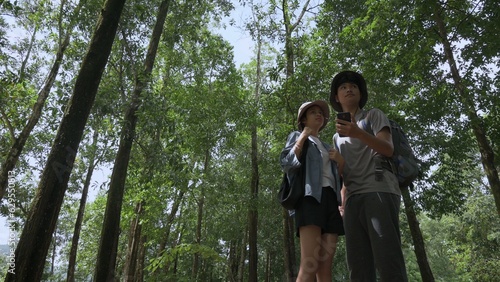 Asian teen brother and sister are searching for directions with mobile phone app while standing in the forest park during summer camping. Outdoor activities. Bonding sibling. Travel explorer.