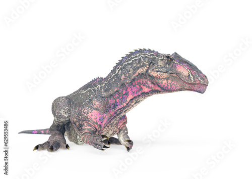 giganotosaurus is lying down and resting on white background photo