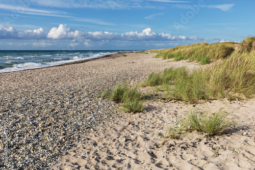 Strand mit Sand, Kies und Strandhafer an der Ostsee bei Westermarkelsdorf auf Fehmarn in Schleswig-Holstein, Deutschland photo