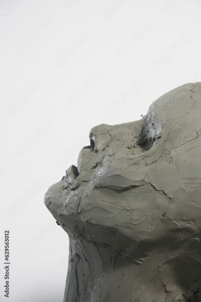 Clay face sculpture. Profile female portrait. Artwork in progress, fine