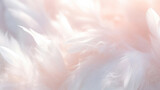 Airy soft fluffy wing bird with white feathers, macro