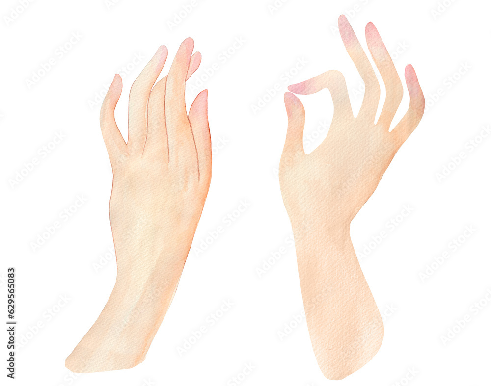 Watercolor hands isolated on a white background. Hand-drawn realistic illustration. Watercolor hands isolated on a white background. Hand-drawn realistic illustration.
