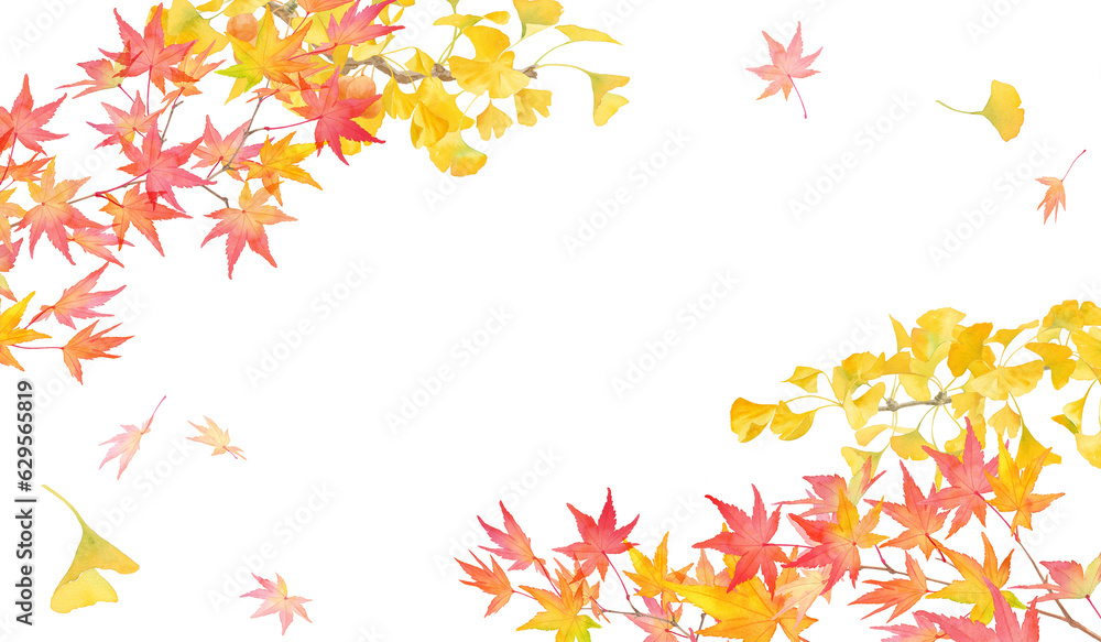 紅葉したモミジとイチョウの水彩イラスト。秋をイメージしたフレームデザイン。