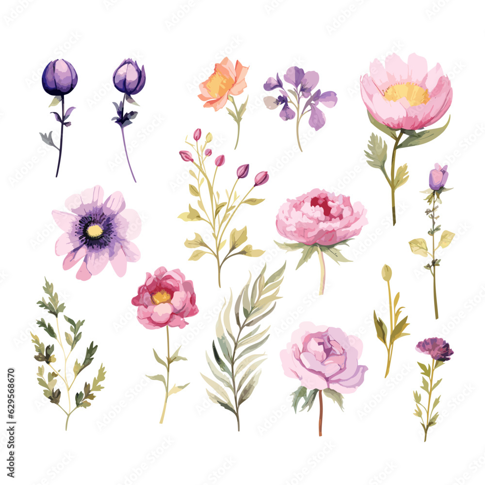 Hand drawn watercolor flower set. Herbs, wildflowers and spices. Branches, leaves, herbs, wild plants, flowers. Vector Illustration EPS10