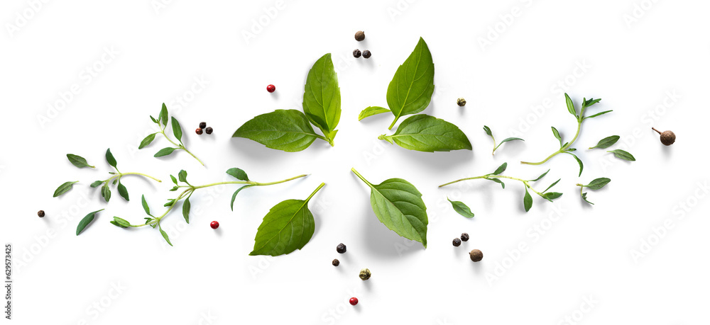 Collection of fresh herb leaves. thymeand basil Spices, herbs on a white table. PNG Food background design element with transparent shadow on transparent background. - obrazy, fototapety, plakaty 