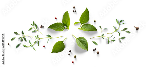 Foto Collection of fresh herb leaves