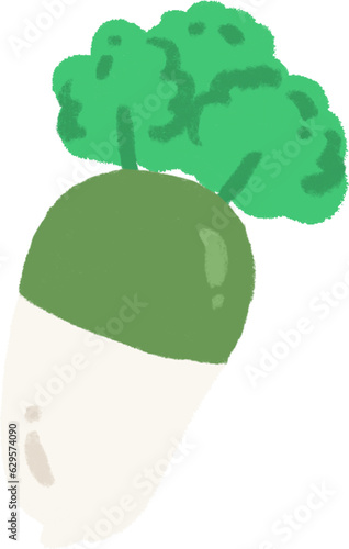 Radish 