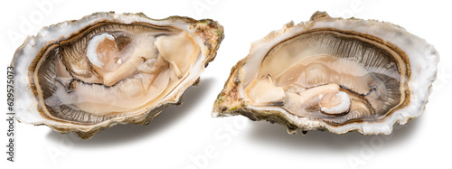 Opened raw oysters isolated on white background. Delicacy food.