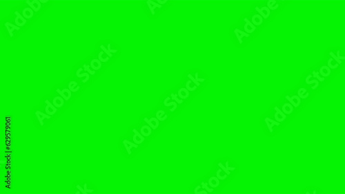 Canvas-taulu Green screen #04F40 background editing color