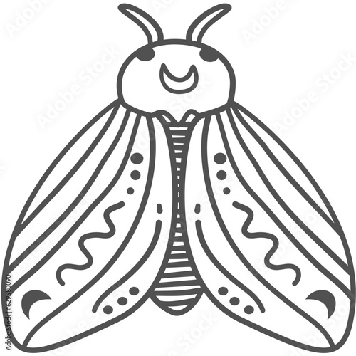 moth, moth with patterned wings, aesthetic moth
