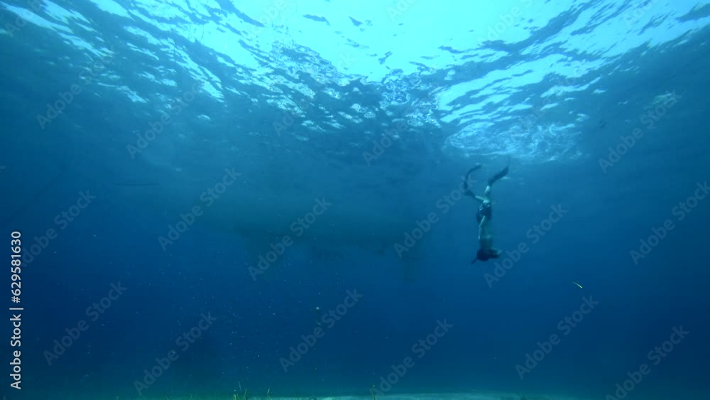free diving boat beach sand ibiza mediterranean sea curious fish free diving boat beach sand ibiza mediterranean sea curious fish