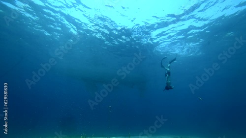 free diving boat beach sand ibiza mediterranean sea curious fish photo