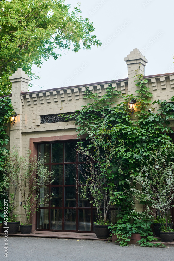 Large window of small modern florist shop with green ivy and bushes growing close to walls on summer day outside