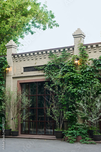 Large window of small modern florist shop with green ivy and bushes growing close to walls on summer day outside