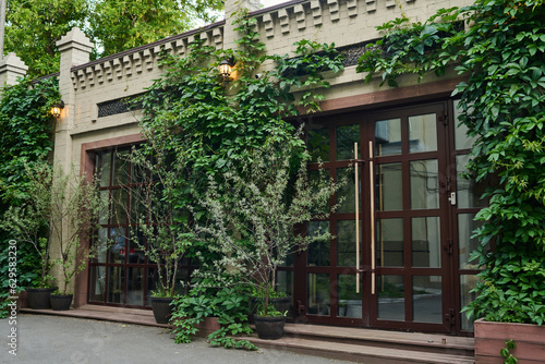 Large closed glass door of small modern shop or store entwined with green ivy  bushes and plants growing in flowerpots