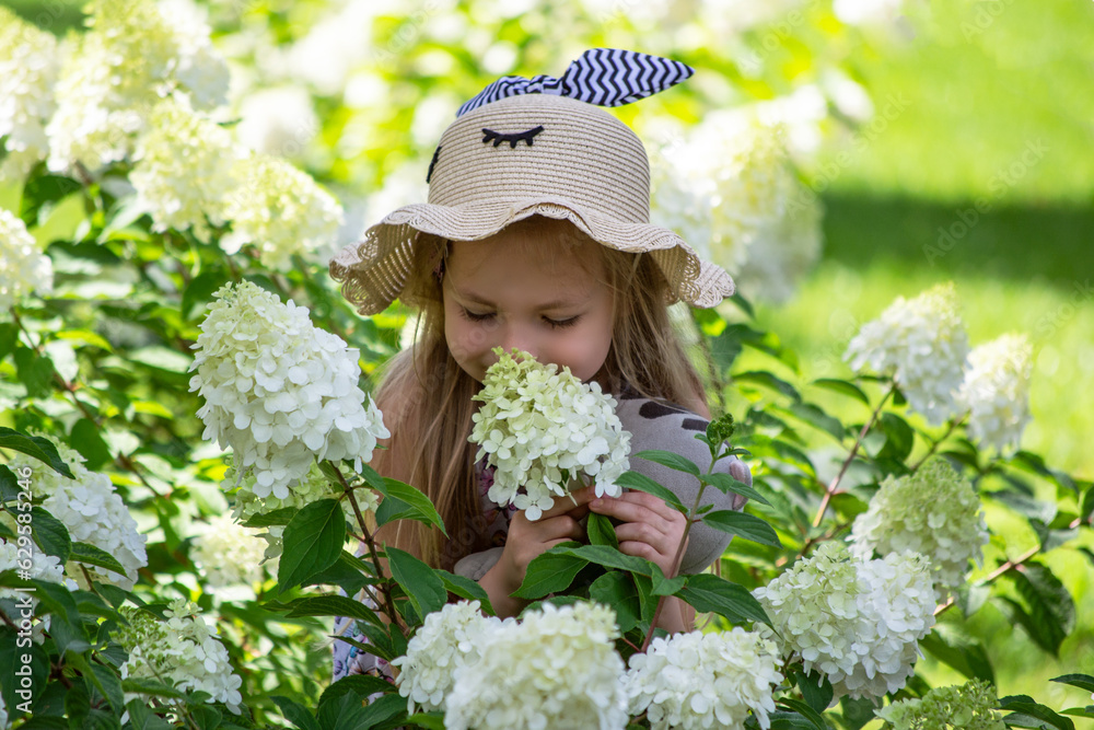 Fototapeta premium a girl in a hat walks in a garden of hydrangeas