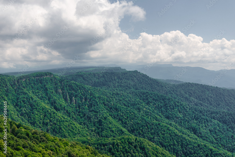 wild forest mountain landscape thailand