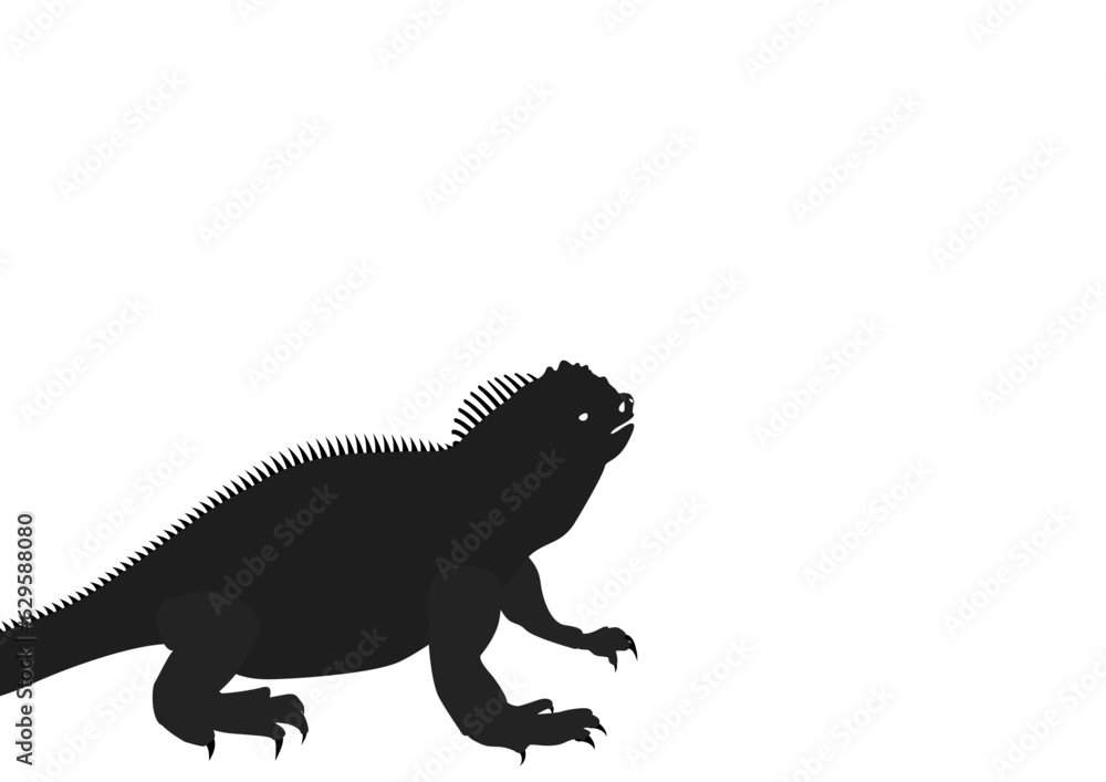 Fototapeta premium ガラパゴスのウミイグアナ。時代遅れのシルエットイメージ。