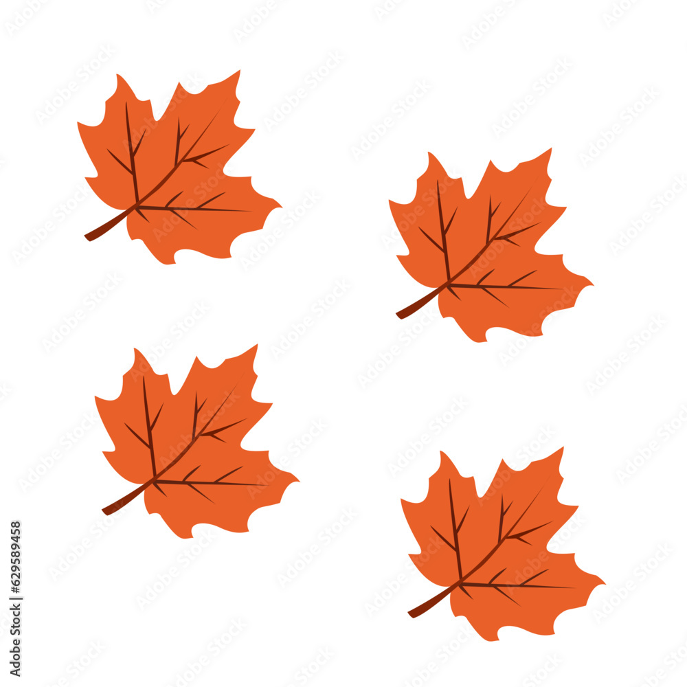 autumn leaves isolated on white autumn leaves isolated on white