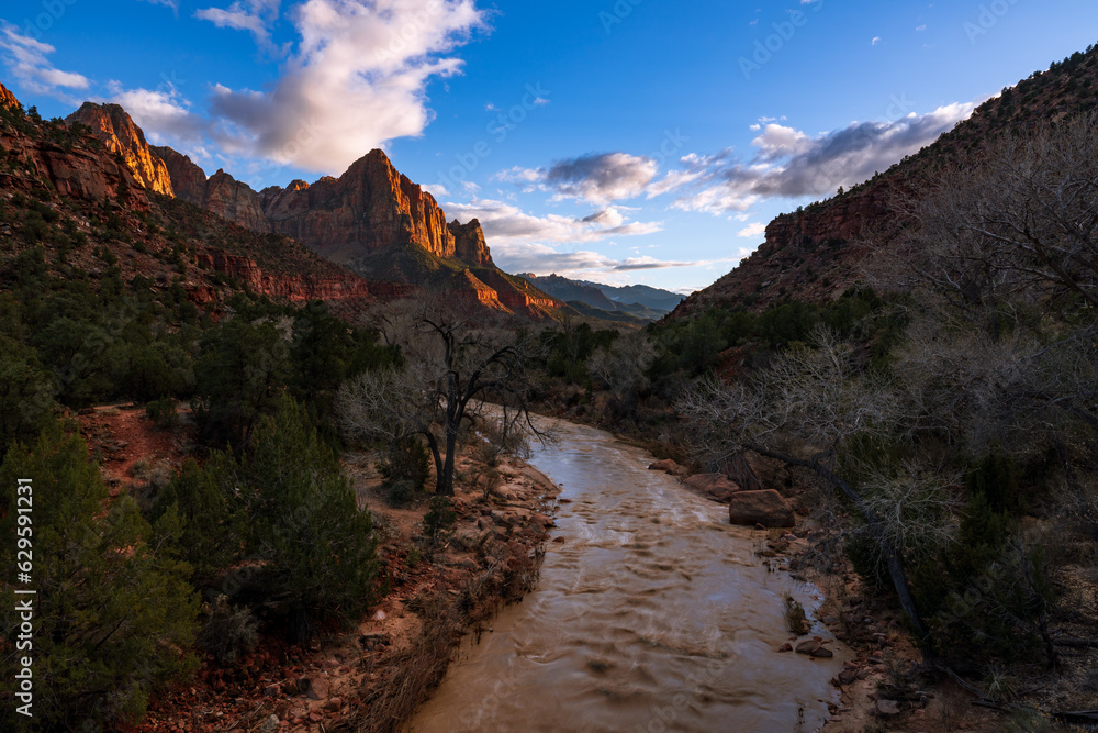 Watchman viewpoint landscape during sunset, Zion National Park, Utah, USA