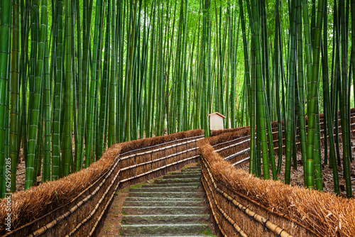 Path to bamboo forest, Arashiyama, Kyoto, Japan.
