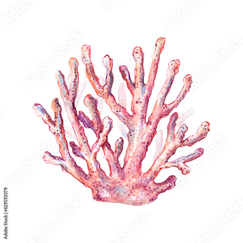 Watercolor realistic pink corals isolated on white background. Illustration for ecological article, blogs, greenpeace, ocean prints, tags, stickers, summer vacations.