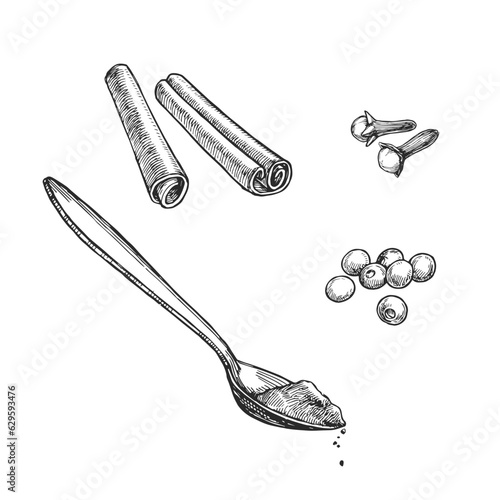 Vector hand-drawn set of classic seasonings and spoon with powder isolated on white. Sketch of cinnamon sticks, peppercorns and clove buds with ground spices.
