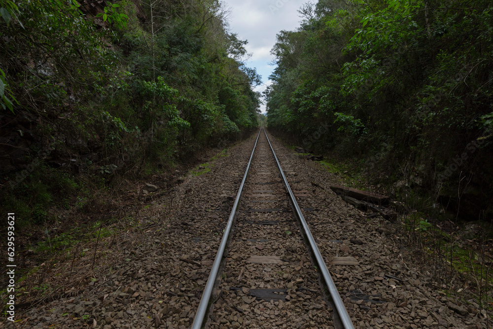 Obraz premium Wheat Railroad. Railway in the south of Brazil in the Taquari Valley in Rio Grande do Sul.