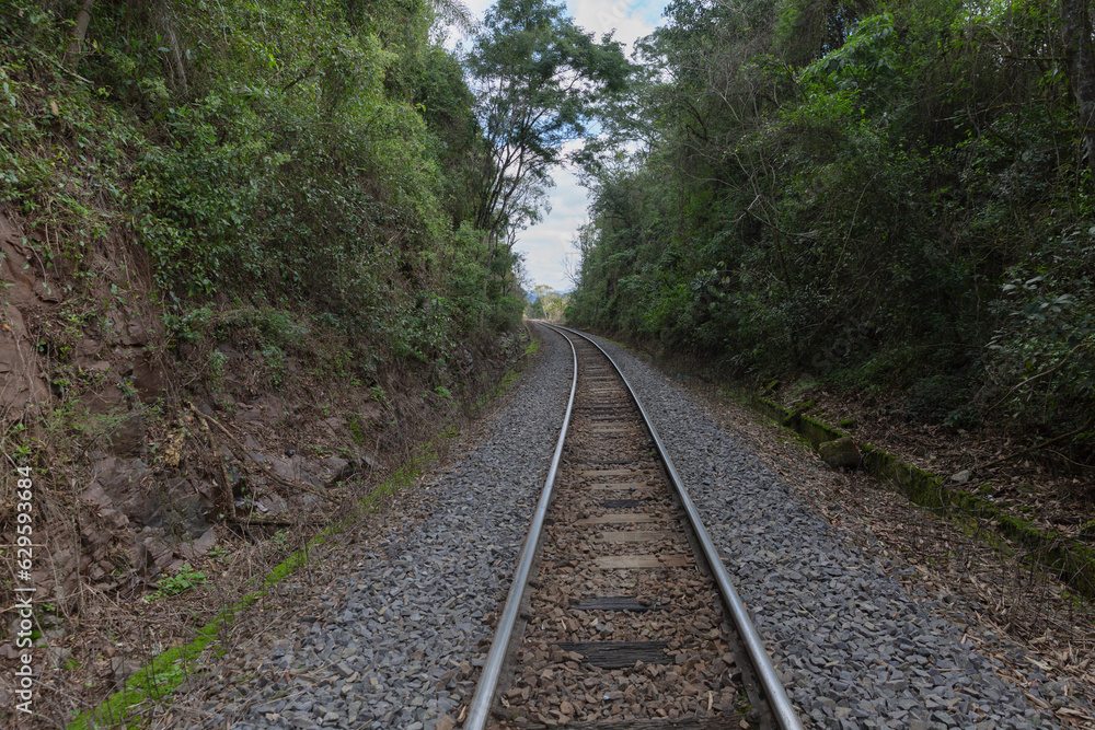 Wheat Railroad. Railway in the south of Brazil in the Taquari Valley in Rio Grande do Sul. Wheat Railroad. Railway in the south of Brazil in the Taquari Valley in Rio Grande do Sul.